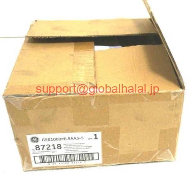 新品【日本の首都発★適当お願いごと書★税込】NEW GE GES1000ML5AA5-5 BALLAST KIT 87218 GES1000ML5AA55【６ヶ月引き受ける】