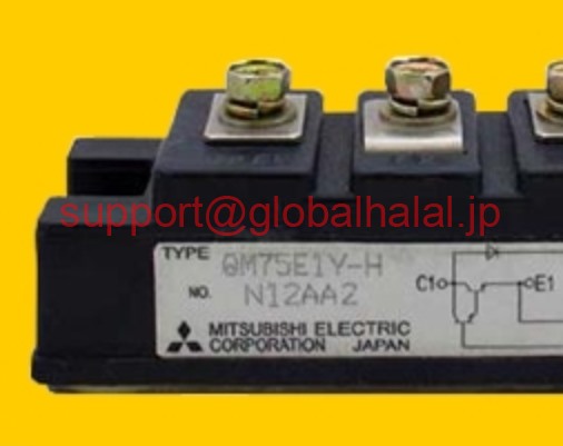 新品【東京発★適格請求書★税込】QM75E1Y-H MITSUBISHI QM75E1YH 三菱【６ヶ月保証】｜Global Halal Japan