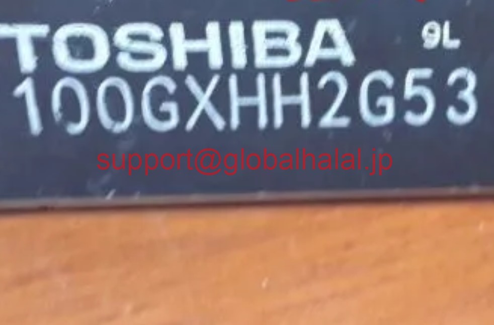 新品【東京発★適格請求書★税込】100GXHH2G53 TOSHIBA MODULE【6ヶ月保証】|Global Halal Japan