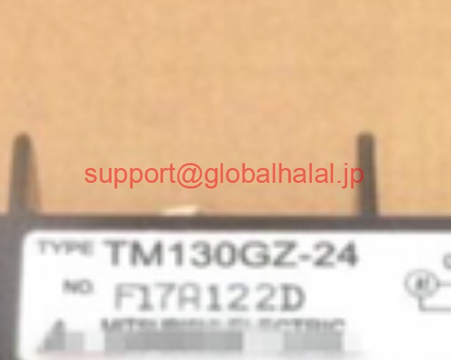 新品【東京発★適格請求書★税込】三菱 TM130GZ-24 MITSUBISHI MODULE TM130GZ24【6ヶ月保証】|Global Halal Japan