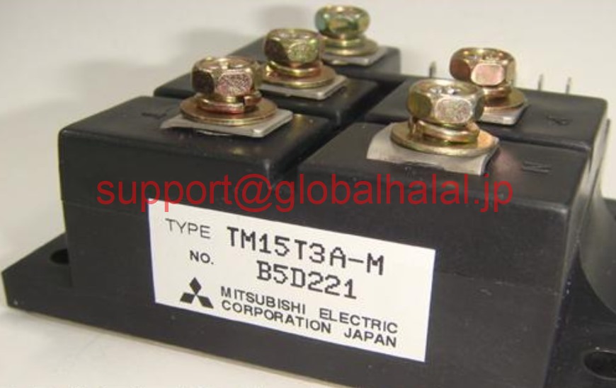 新品【東京発★適格請求書★税込】三菱 NEW MODULE TM15T3A-M TM15T3AM IGBT MITSUBISHI MODULE ORIGINAL【6ヶ月保証】|Global Halal Japan