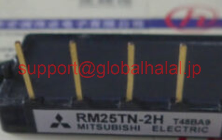 新品【日本の首都発★適当お願いごと書★税込】三菱 RM25TN-2H RM25TN2H MITSUBISHI MODULE【６ヶ月引き受ける】