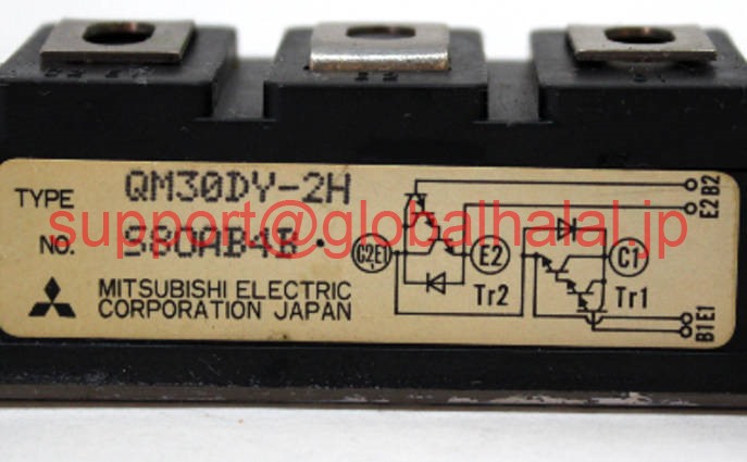 新品【東京発★適格請求書★税込】三菱 NEW MODULE QM30HY-2H GTR MITSUBISHI MODULE ORIGINAL【６ヶ月保証】｜Global Halal Japan