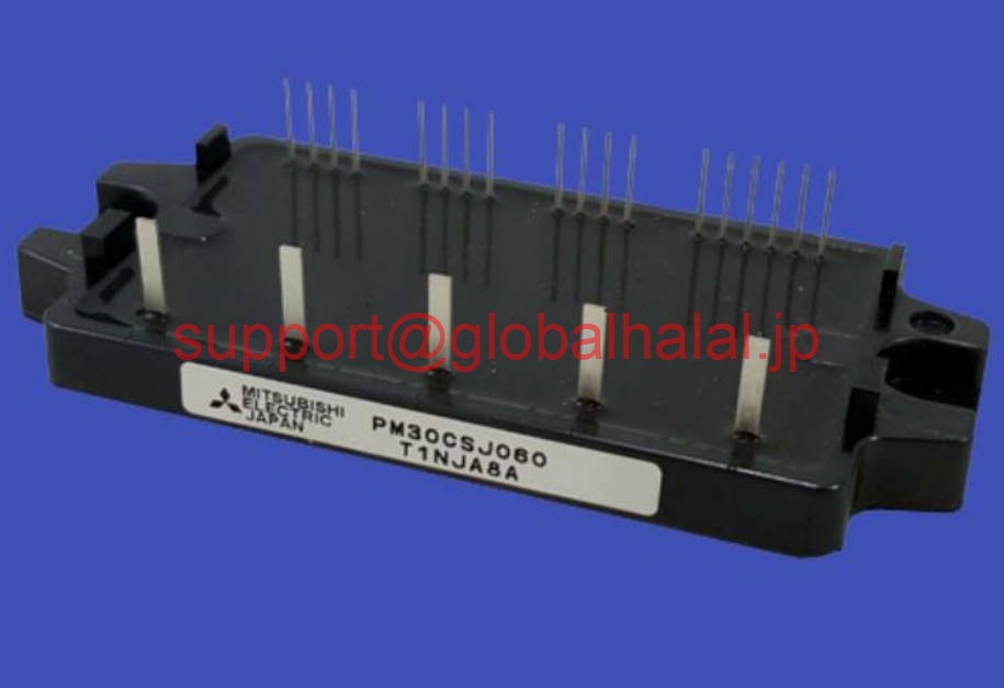 新品【東京発★適格請求書★税込】PM30CSJ060 Mitsubishi IGBT Module PM30CSJ-060 三菱【６ヶ月保証】｜Global Halal Japan