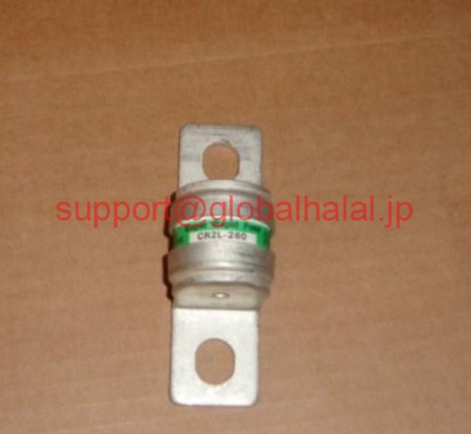 新品【日本の首都発★適当お願いごと書★税込】FANUC FUJI SPINDLE FUSE ( A60L-0001-0183/260A ) CR2L-260【６ヶ月引き受ける】