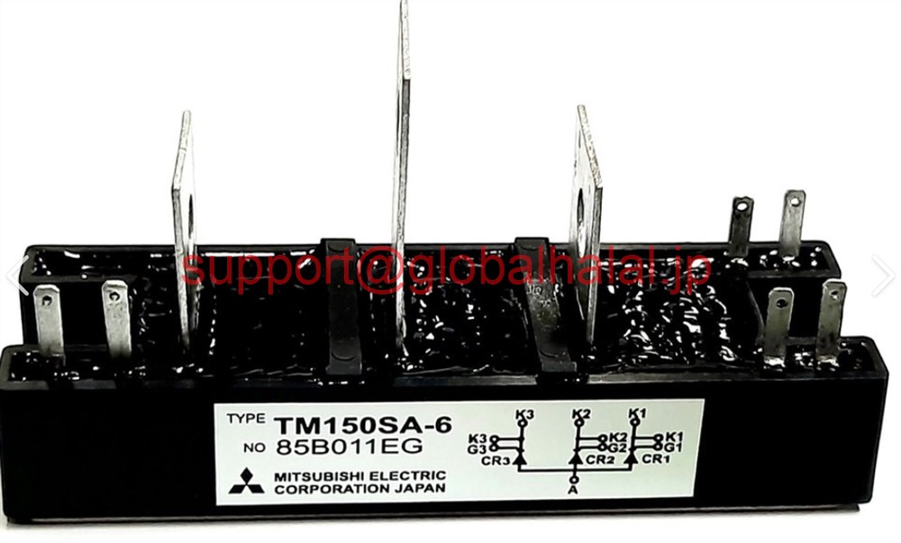 新品【日本の首都発★適当お願いごと書★税込】三菱 The Mitsubishi welder module TM150SA-6【６ヶ月引きうける】 その他-パソコン・周辺機器