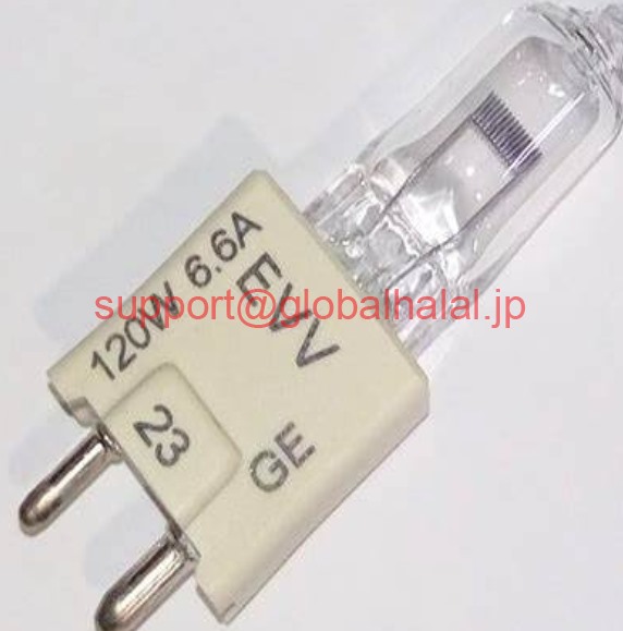 新品【日本の首都発★適当お願いごと書★税込】GE LIGHTING 10099 NSFP 10099【６ヶ月引き受ける】