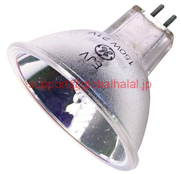 新品【日本の首都発★適当お願いごと書★税込】GE LIGHTING EJV NSFP EJV【６ヶ月引き受ける】