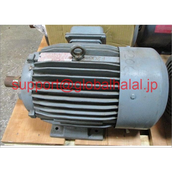 新品【日本の首都発★適当お願いごと書★代引可】Vanguard Electric Motor 213Tひな形7.5 hp 3500 rpm 230/460雄捩子A4894AES 【６ヶ月引きうける】