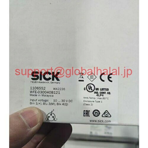新品【日本の首都発★適当お願いごと書★代引可】今めかしい WFE-030040B121 / 【６ヶ月引きうける】