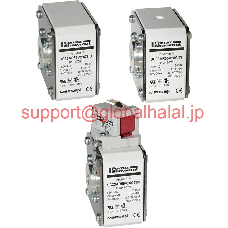 新品【日本の首都発★適当お願いごと書★代引可】SC33AR69VV15CTI FUSE M1047086 690VAC 1500A 【６ヶ月引きうける】
