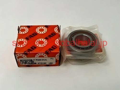 新品【日本の首都発★適当お願いごと書★代引可】B7213-C-T-P4S-DUL FAG PRECISION SPINDLEベアリング-2の書き割り  【６ヶ月引きうける】