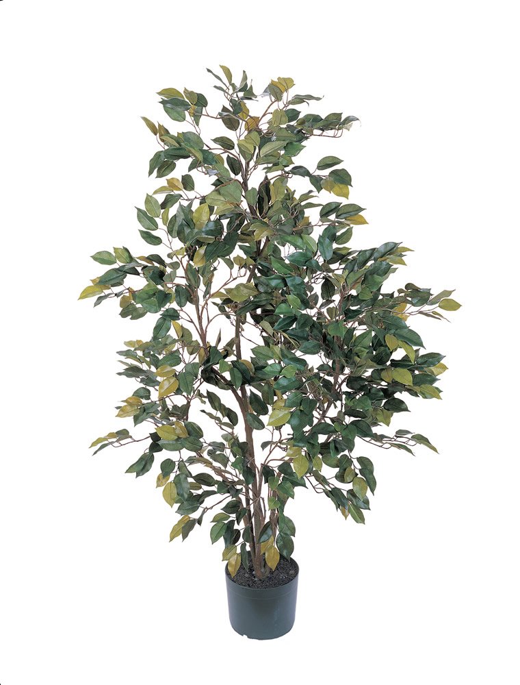 ほぼ自然5074 Ficusシルクツリー、4-feet、グリーン｜global研究所