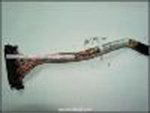 SCSI Cable|global研究所
