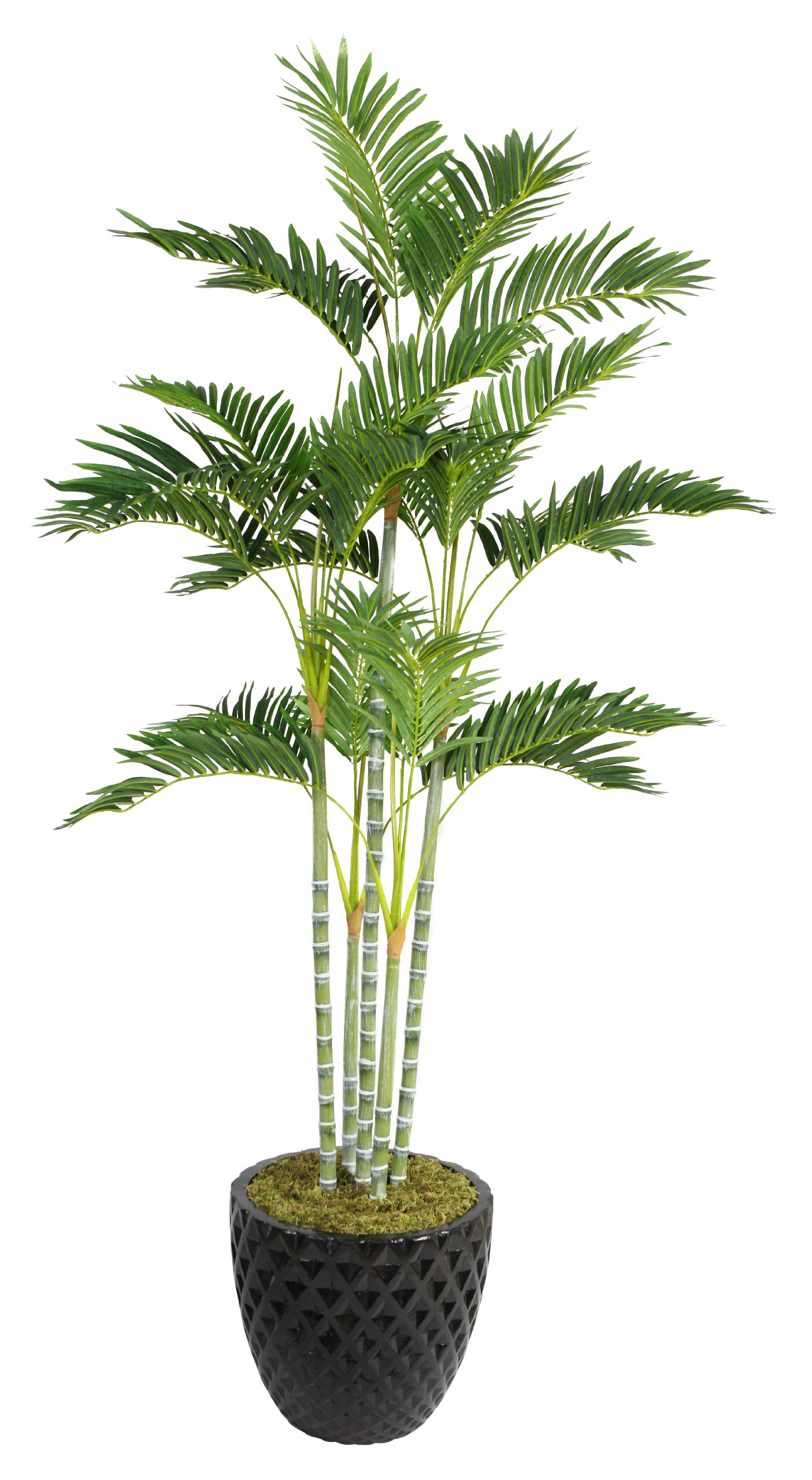 Laura Ashley VHX113205 74-Inch Palm Tree in 16-Inch Fiber Stone Planter by Laura Ashley [並行輸入品]