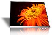 DellDisplay 13 3 Inch