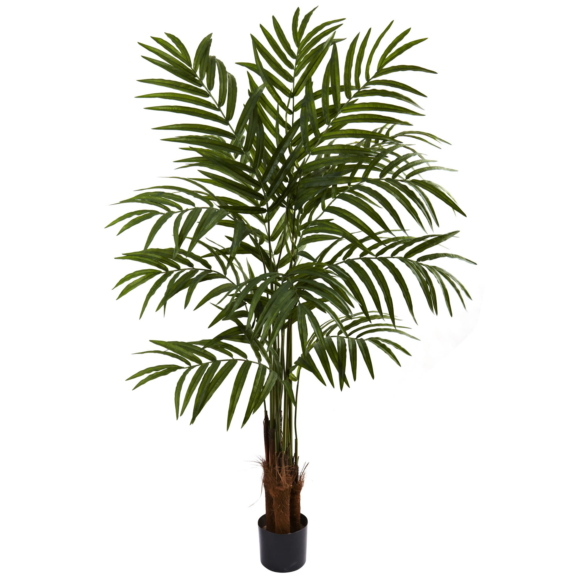 ほぼ自然5414 Big Palm Tree、5フィート、グリーン｜global研究所