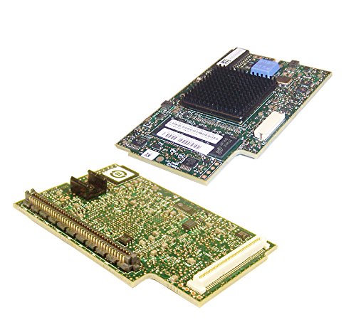 IBM 押しひろげる歌留多 LSI 1078 スティング花の冠 レイド 歌留多 46C9241