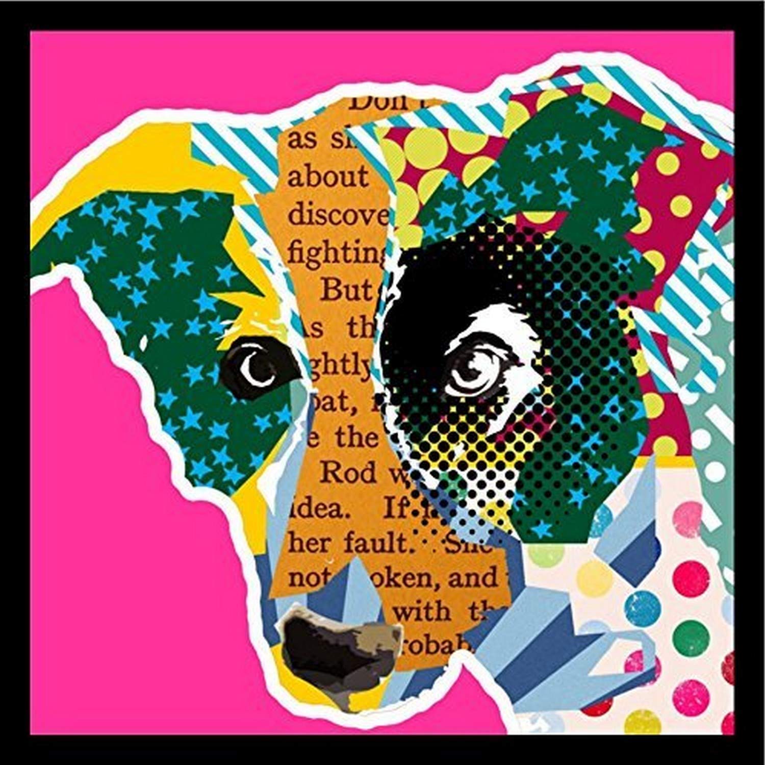 フレーム付きボーダーコリーPopアートピンクby Claudia Schoen 36 x 36アートプリントポスターカラフルTextualポップアート犬コラージュボーダーコリー 42,019円