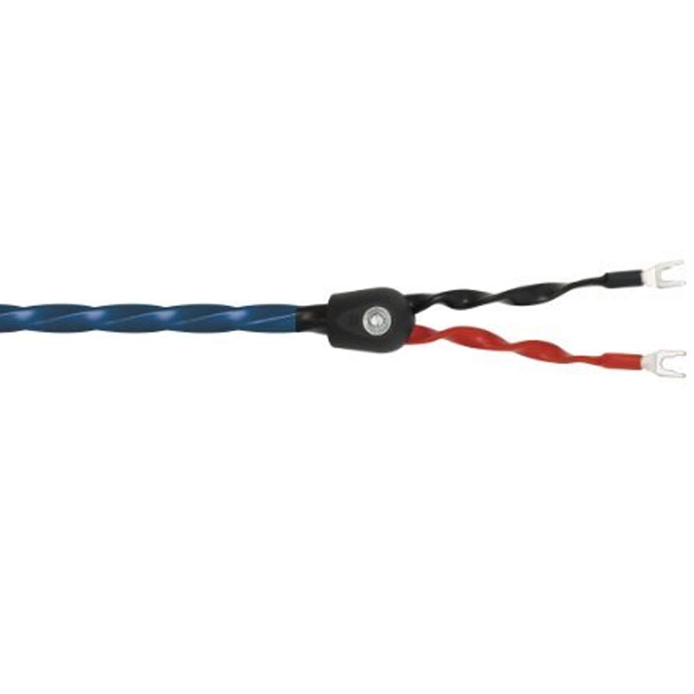 楽天市場】スピーカーケーブル Colossal Cable Colossus Speaker Cable