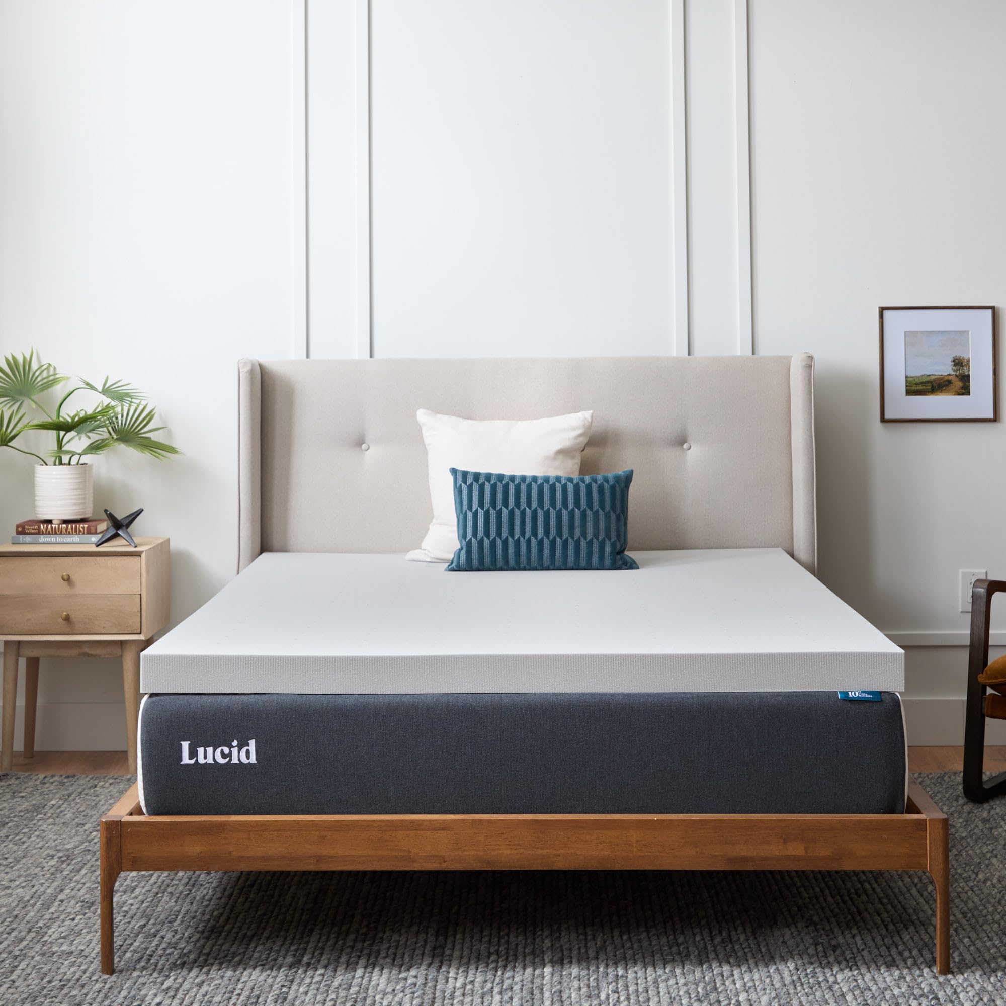 LUCID 3 Inch Bamboo Charcoal Memory Foam Mattress Topper - Queen