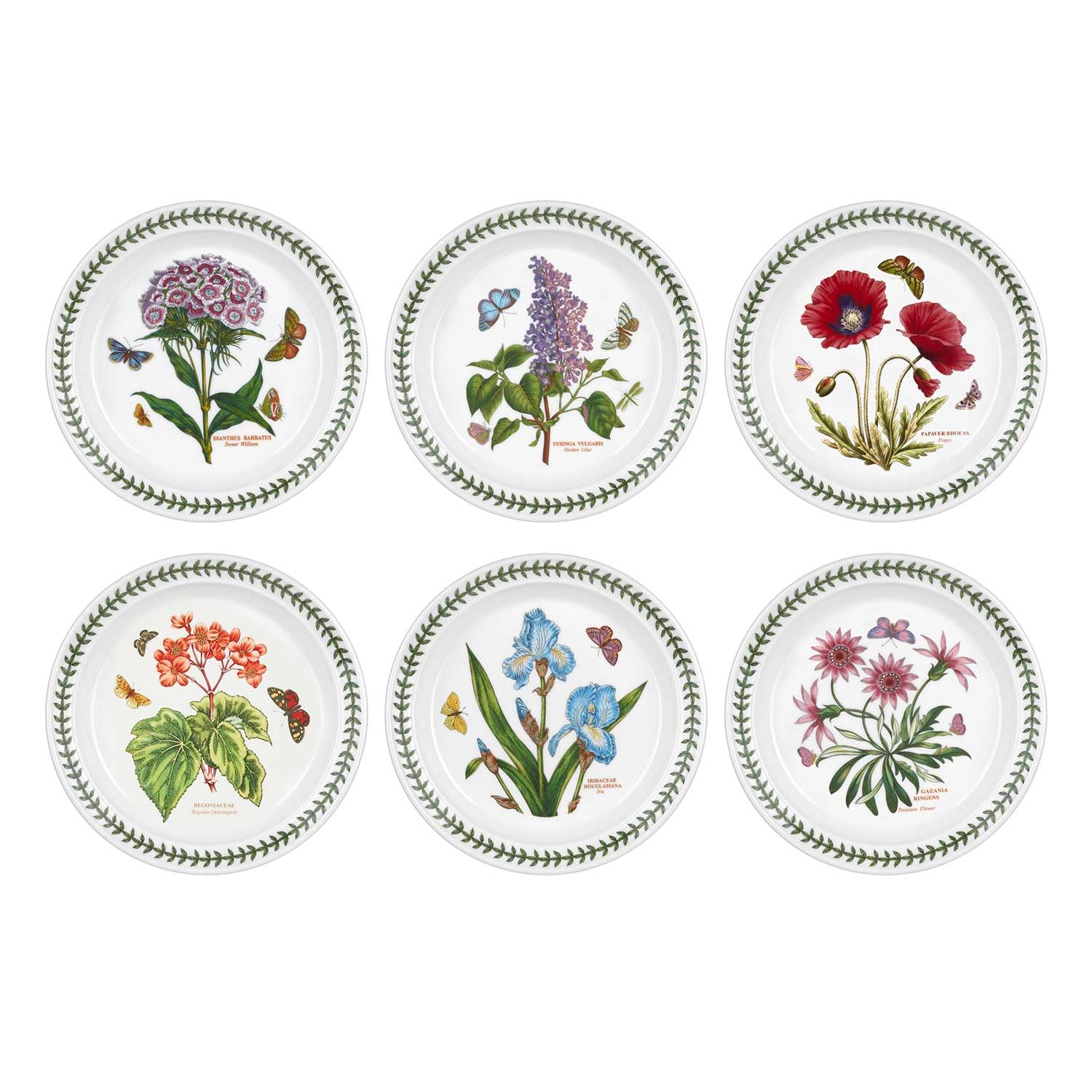 Portmeirion Botanic Garden Salad Plates Set of 6 Assorted Motifs by Portmeirion