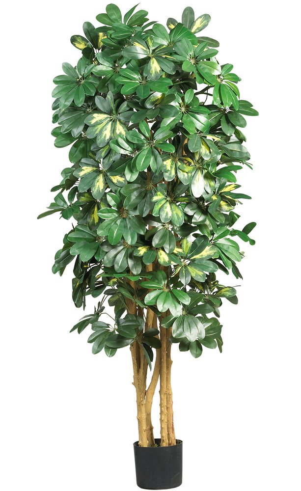 Nearly Natural 5202 Schefflera シルクツリー 5フィート グリーン｜global研究所