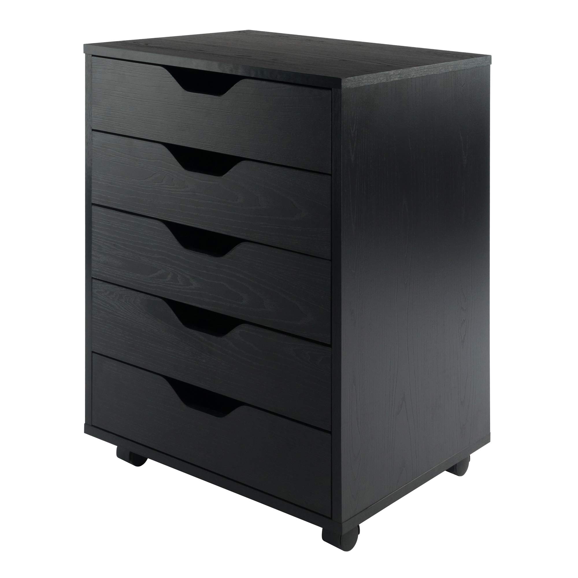 Winsome Trading Inc 20519 19.21 in. X 15.98 in. X 26.3 in. Black 5 Drawer Halifax Cabinet｜global研究所