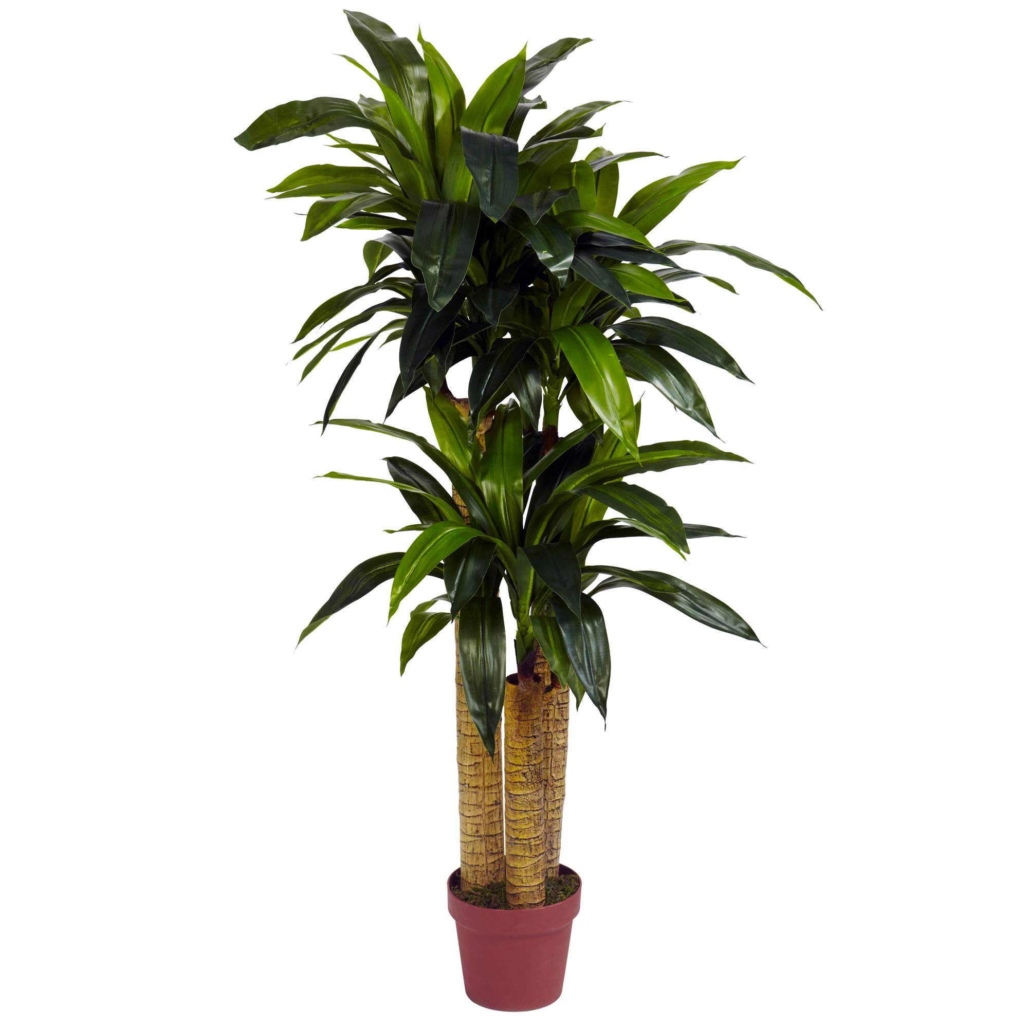 ほぼ天然の4フィートトウモロコシの茎ドラセナシルク(リアルタッチ)人工植物、4フィート、グリーン｜global研究所