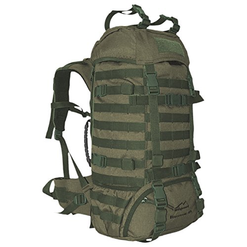 Wisport Raccoon 45L リュックサック オリーブドラブ｜global研究所