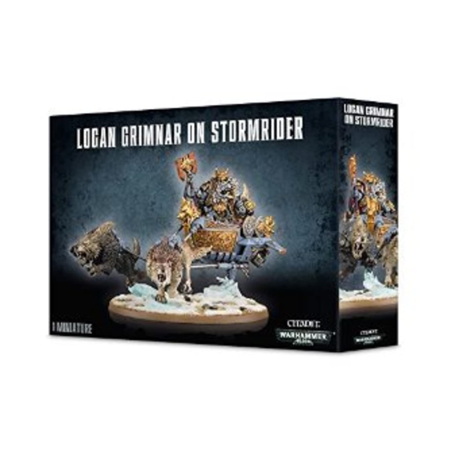 Warhammer 40K Logan Grimnar on Stormrider
