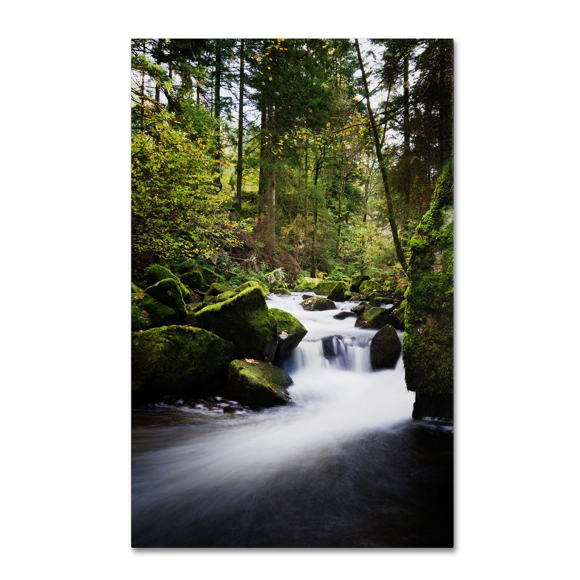 Philippe Sainte-Laudy Wall Decor のトレードマーク ファインアート 滝 22 by 32-Inch PSL0418-C2232GG｜global研究所