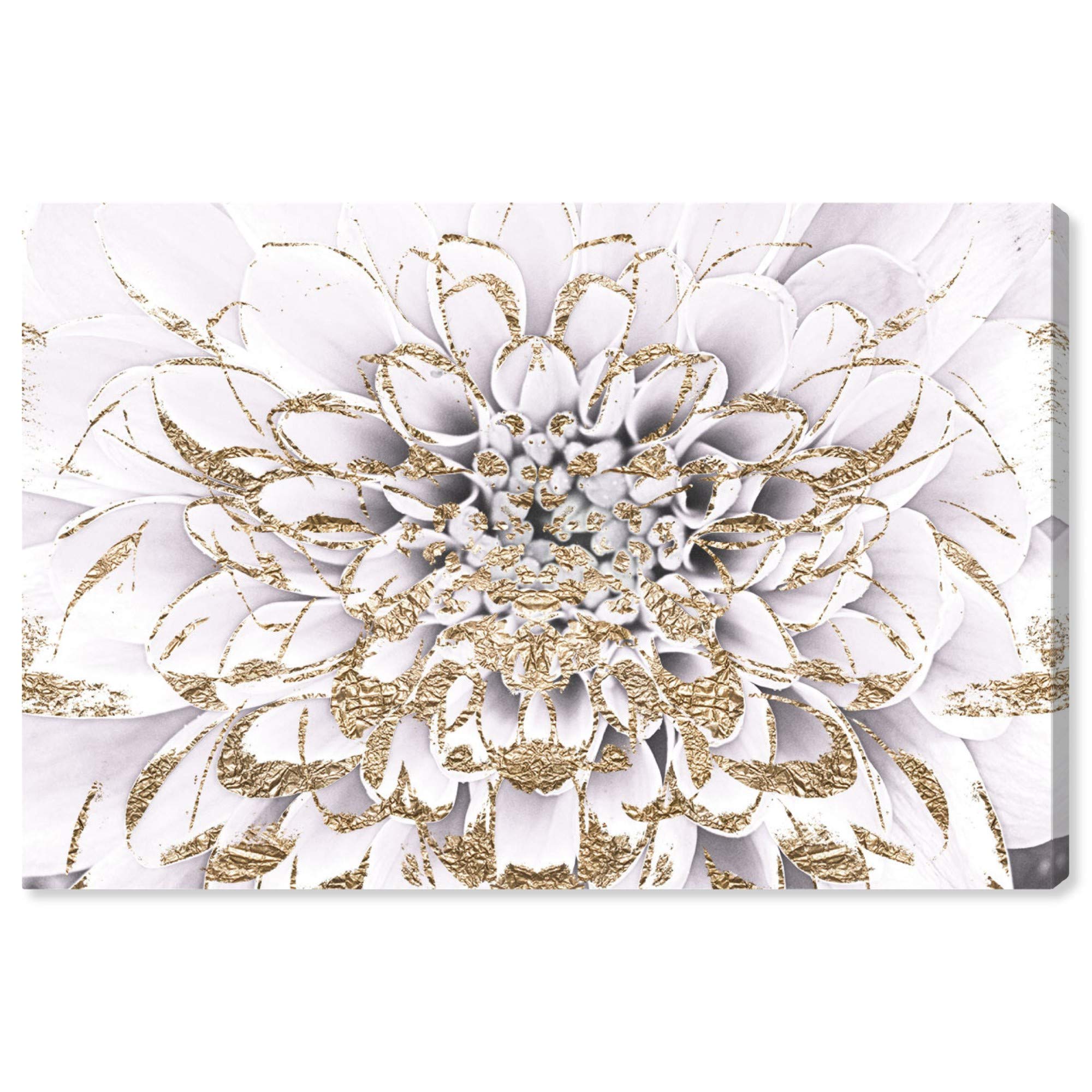 The Oliver Gal Artist Co。Floralia Blanc キャンバスアート 30x20 16250