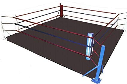 MMA 立ち会い場輪っか 帆布つや消し レスリング ボクシング 柔軟体操 武道 (黒いこと帆布 20 X 20)
