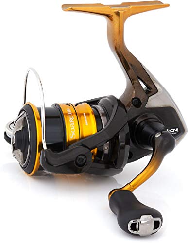 【美品】シマノ 18 ソアレBB C2000SSHG リール アジングメバリング Amazon | シマノ(SHIMANO) スピニングリール アジング