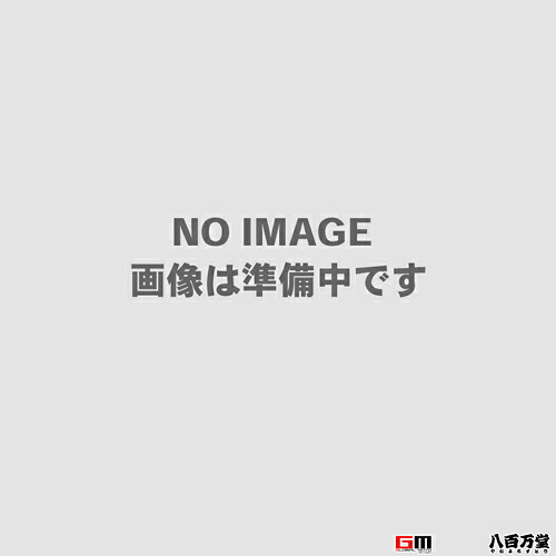 TRP(ティーアールピー) 【4717592034752】 142207000 TR DHR EVO GS1.7 Lever Set LH(GD)|GLOBAL MOTO