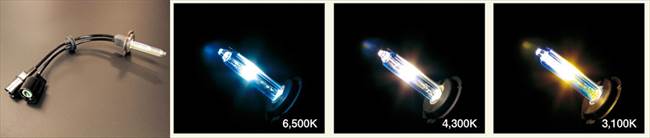 ABSOLUTE アブソリュート 【4538792330655】 HR1H1R6 HID H1/6500Kバルブ　 HID リペアバルブ ロータイプ
