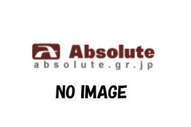 ABSOLUTE アブソリュート 【4538792326290】 HR1RCI HID イグナイター補用|GLOBAL MOTO