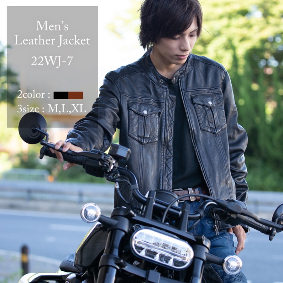 デグナー(DEGNER) 22WJ-7 レザージャケット　2色