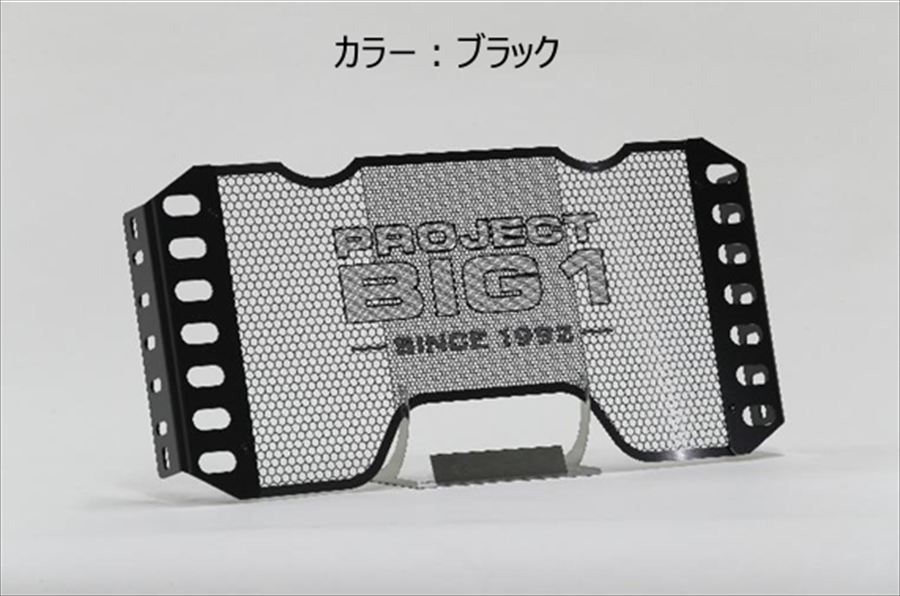 TSR 0SS-ZP-S54F1BK0 ラジエターコアガード TYPE PROJECT BIG-1 ブラック CB1300 SUPER FOUR /SUPER BOL D'OR