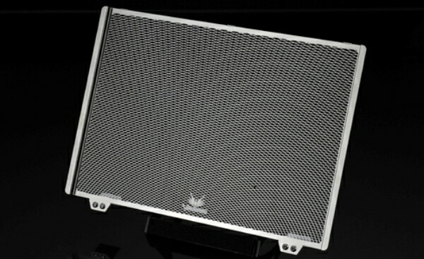 ヴォーグ Vorgue ラジエターガード 不銹鋼 Mt 09 Tracer900 Xsr900 Vgj4106 Sus Pghintheround Com