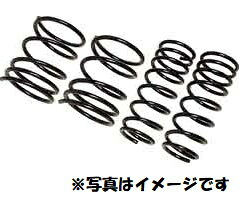 【RG（アールジー）】 【4996327068853】 RG ダウンサス S-MX RH1 SH010A｜GLOBAL MOTO