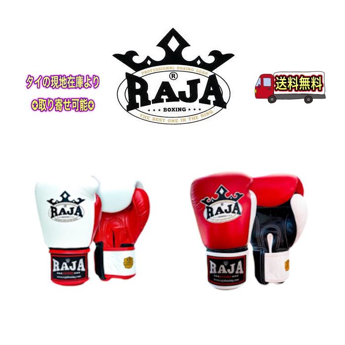 RAJA ラジャ キックボクシンググローブ Raja ファンシーウィルス