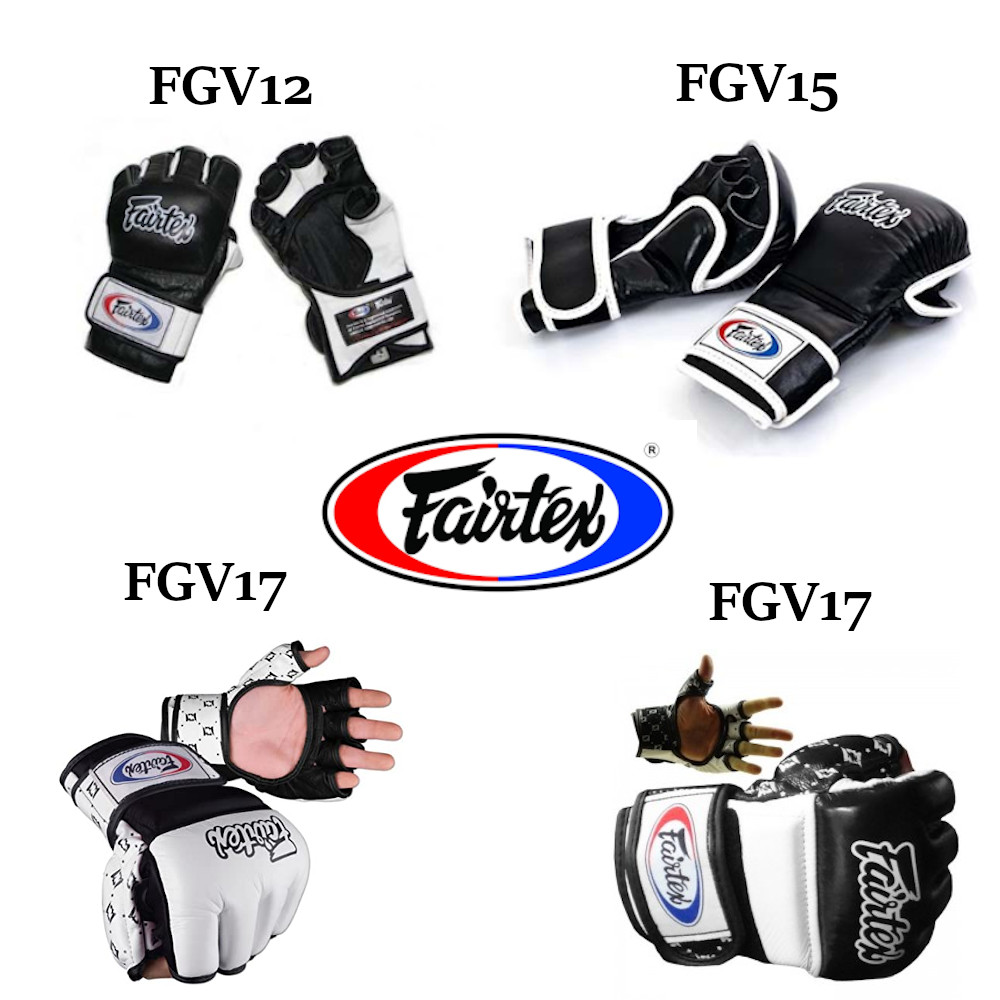 楽天市場】【送料無料】【Lサイズ】フェアテックス Fairtex KPLC3 