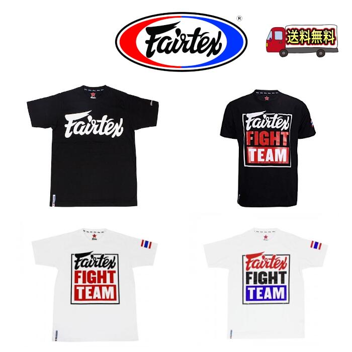 楽天市場】【送料無料】フェアテックス Fairtex ローキックパッド TP4