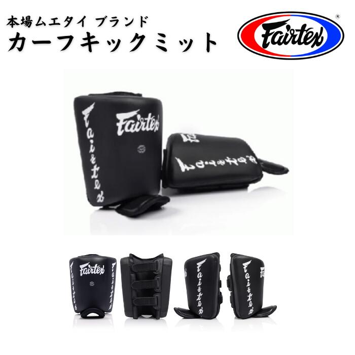 楽天市場】【送料無料】フェアテックス Fairtex ローキックパッド TP3