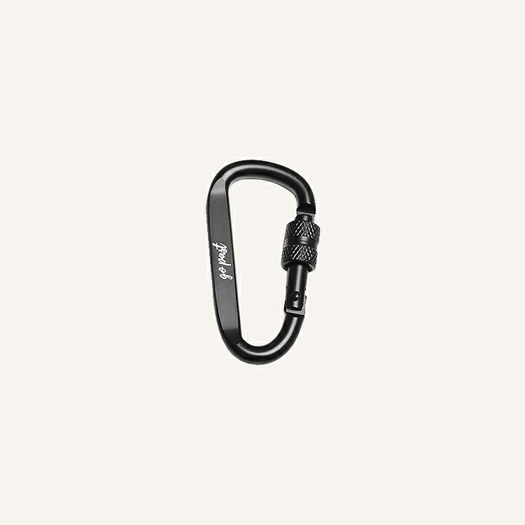 ＼店内全品5％OFF/ カラビナ 5個入 アウトドア アルミ キャンプ クライミング Dリング ハンモック バックパックフック グッズ レスキュー ヨガ バイク ソロキャンプ ファミリーキャンプ ベランピング スクリューロック ネジ ボルダリング バックパック