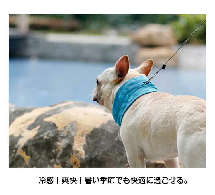 クールネック ひんやり グッズ 首 ペット 熱中症対策 メッシュ 冷たい クールスヌード 犬用 散歩 小型犬 中型犬 夏 ネッククーラー タオル