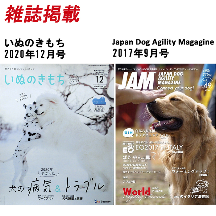 犬用 ドッグアジリティ スラローム ジャンプバー 障害物 自立 組立式 どこでも設置 軽量4 8kg 持運びキャリーバッグ オススメ図解入り練習ブック付き ペット 犬用品 運動器具 競技 訓練 トレーニング しつけ ドッグラン Deerfieldtwpportage Com