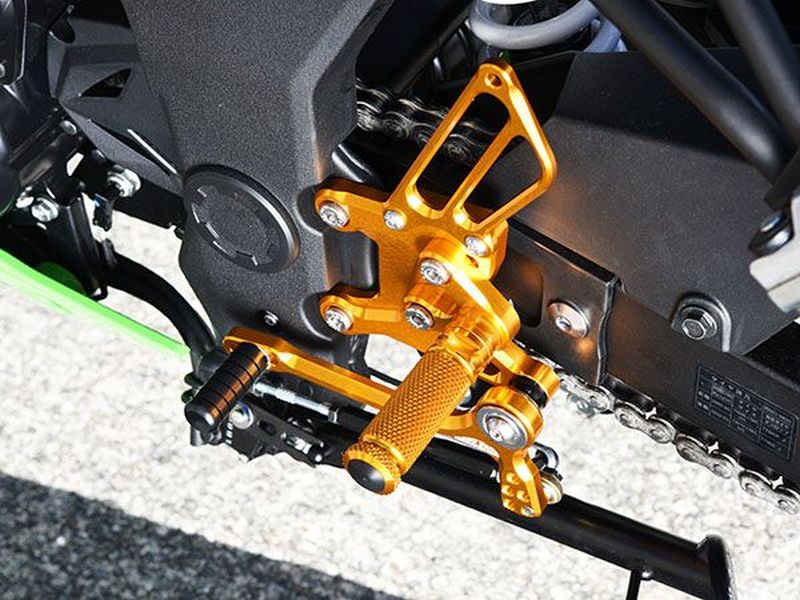 BabyFace ベビーフェイス パフォーマンスステップキット ゴールド Ninja250SL 15-16